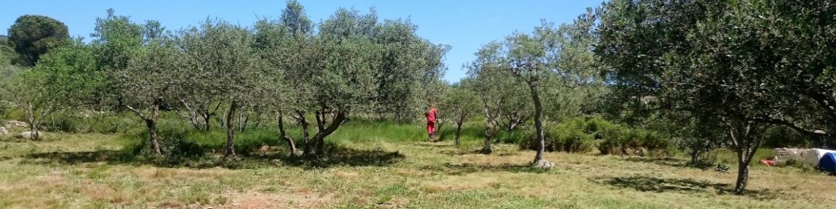 Permalien vers:Débroussaillage et entretien des parcs et jardin